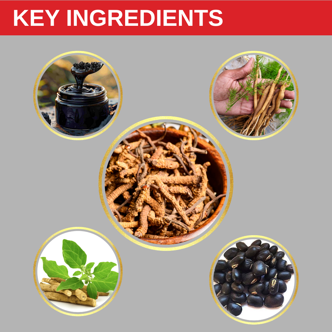 Himalayan YarsaGold For Energy Tonic(30+5 Caps)