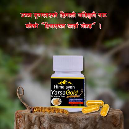 Himalayan YarsaGold For Energy Tonic(30+5 Caps)